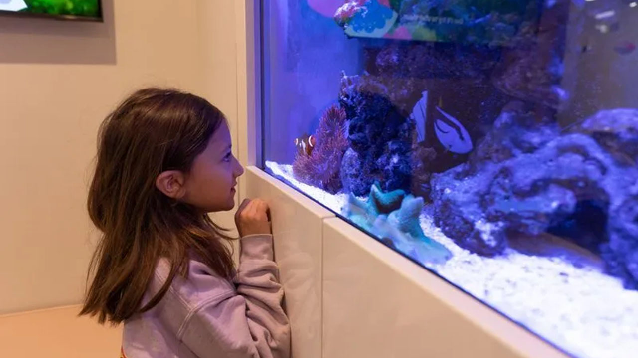 Pediatric Dentists Near You