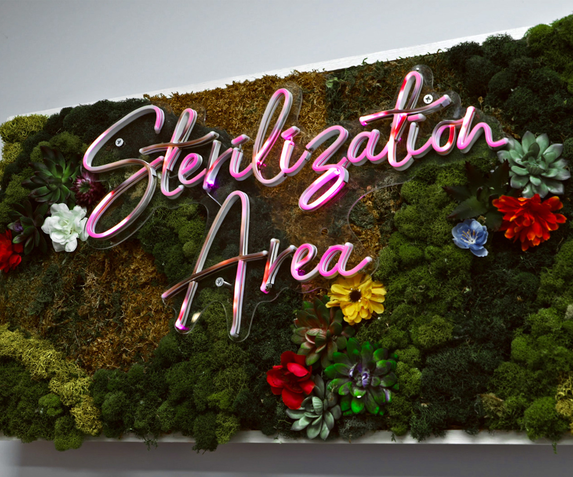 Childrens Root Canal Treatment Dentist Near Me